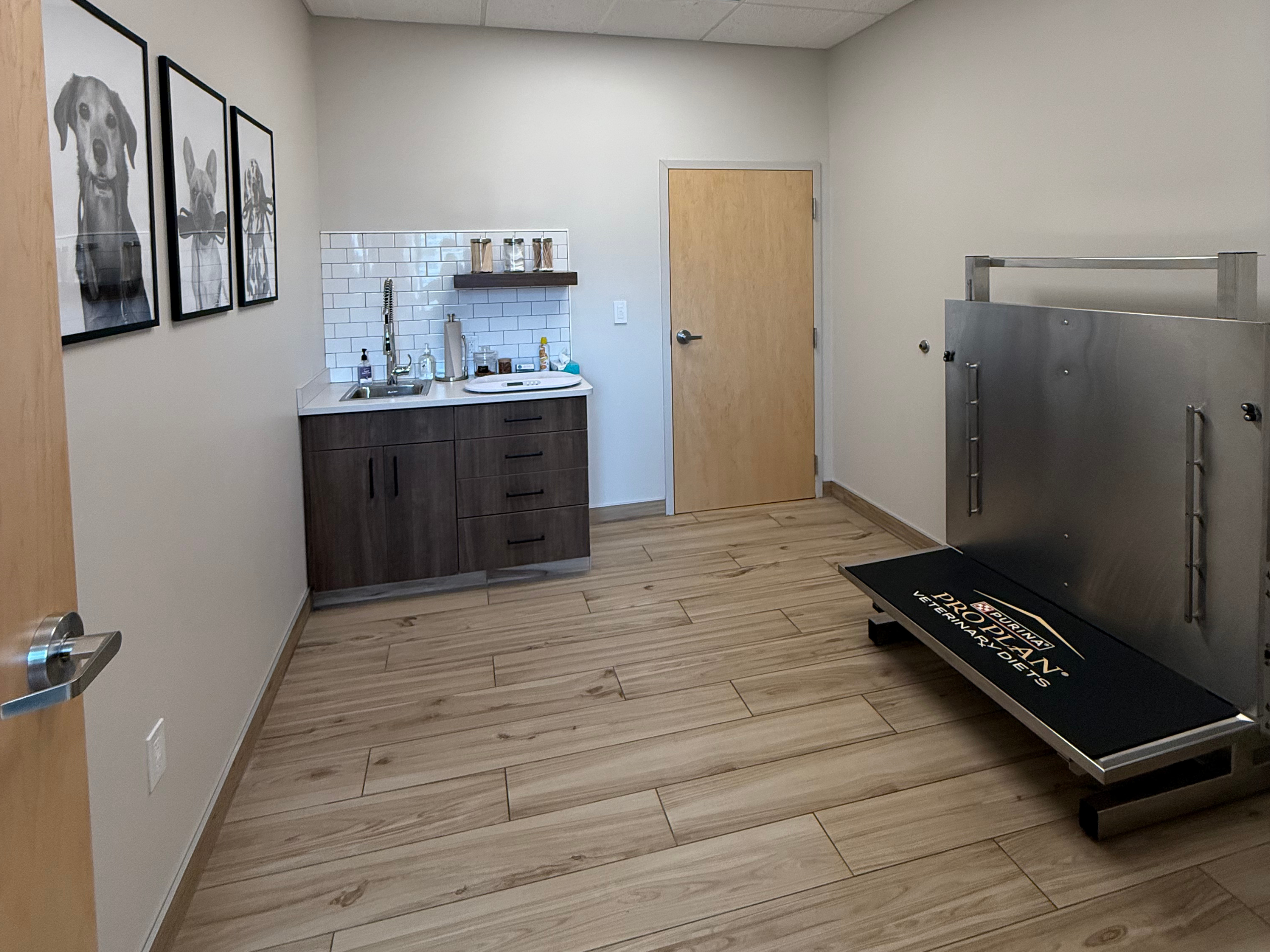 McBride Animal Hospital pet exam room