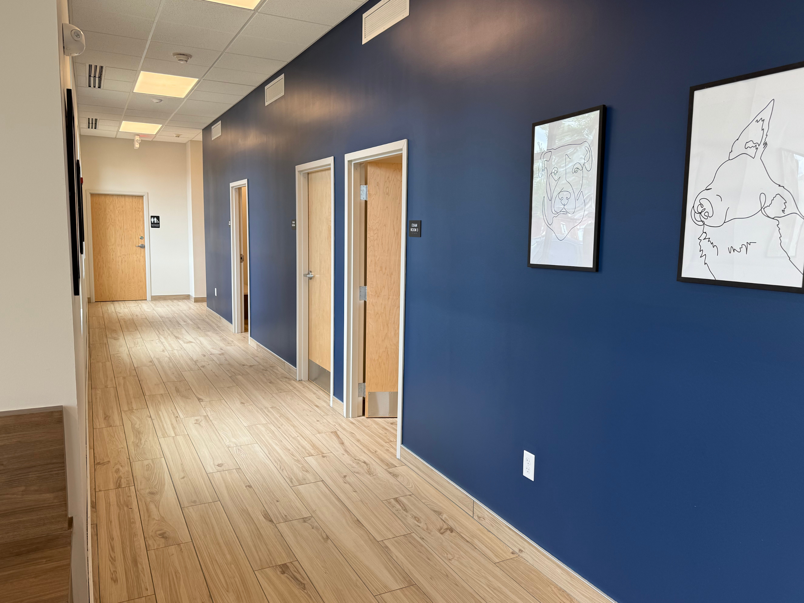 photo of McBride Animal Hospital hallway with pet exam rooms