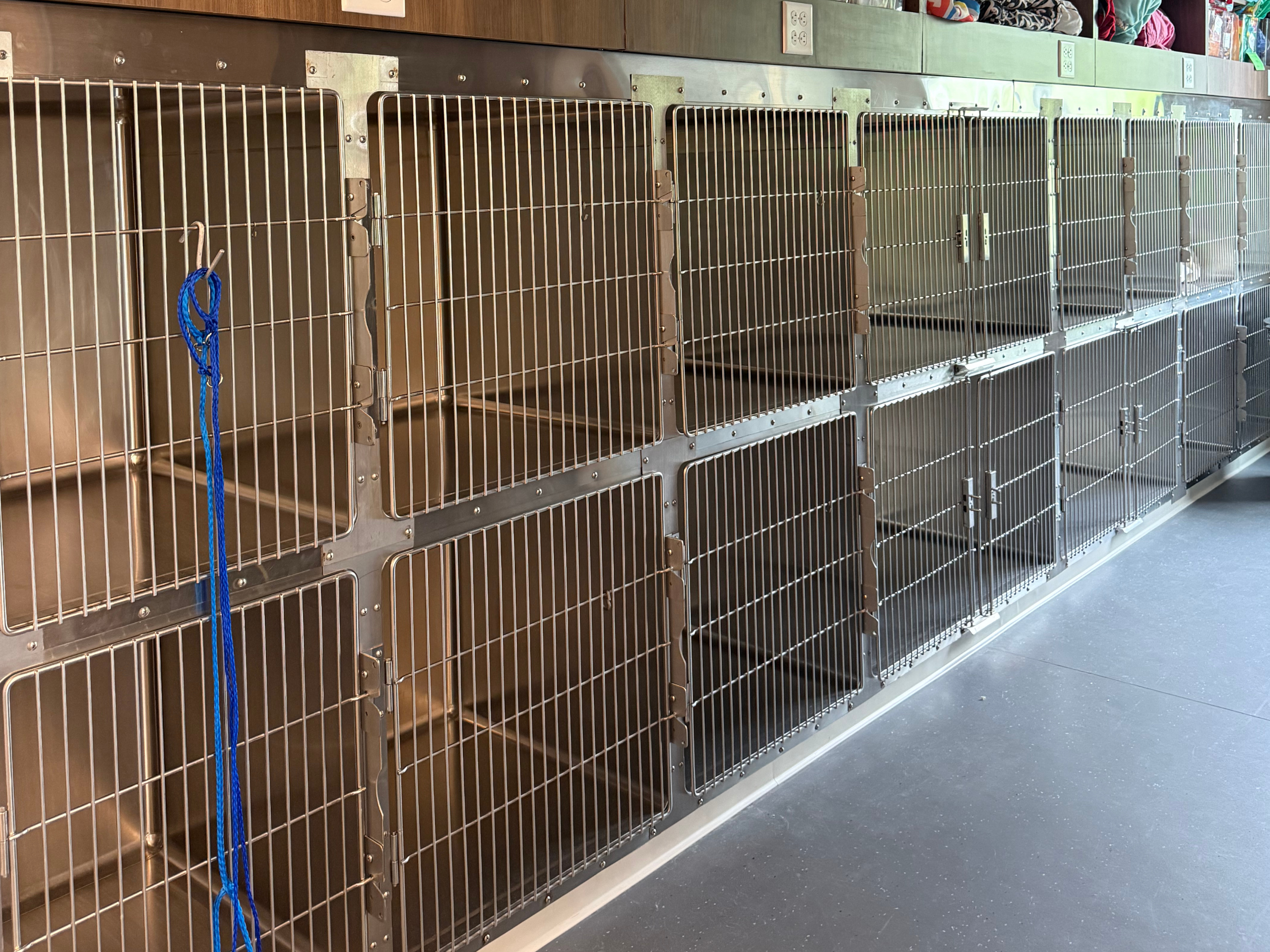 photo of McBride Animal Hospital kennels during pets stay